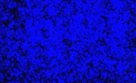 Abstract blue particles floating and glowing softly on a black background, .. Stock Photos