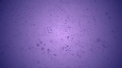 Abstract blue particles flying animation Stock-Footage 257087219