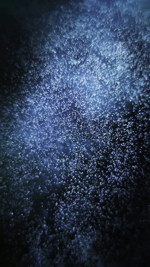 Abstract Blue Particles In Motion, Space Background. Vertical video. Stock Footage 270915262