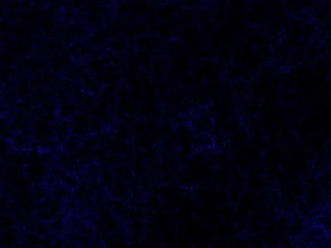 Abstract blue pattern on black background Stock Illustration