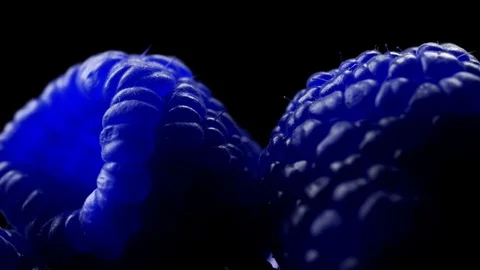 Abstract blue Raspberries super close up stock footage Stock Footage 86797182