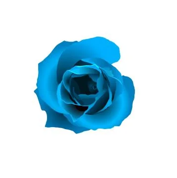 Abstract blue rose, isolated Stock Illustration