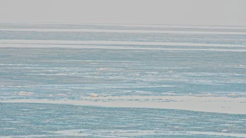 Abstract Blue Sea Ice Texture in Winter Stock-Footage 326370749