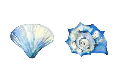 Abstract blue seashell set. Ocean creatures collection. Watercolour illustration Illustrazione stock
