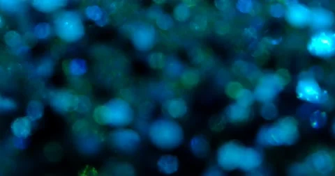 Abstract blue sparkle on black background Stock Footage 239416330