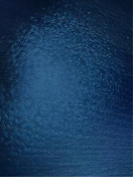 Abstract Blue Texture With High Contrast, Vibrant Color Flow and Dynamic Su.. Illustrazione stock