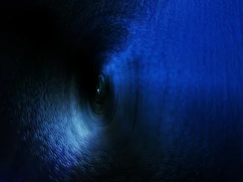 Abstract Blue Texture With High Contrast, Vibrant Color Flow and Dynamic Su.. Stock Photos