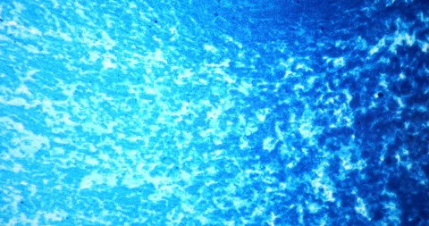 Abstract blue textured background with shimmering light reflections, creating a Stock Footage 317558783
