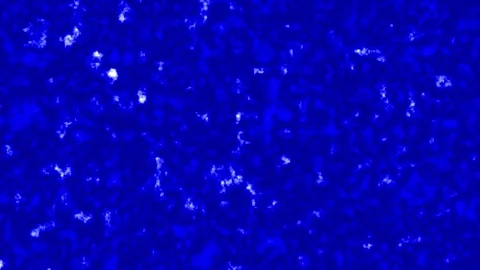 Abstract Blue Textured Background with White Speckles Stock Footage 317452320