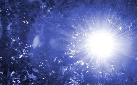 Abstract blue tree nature background with sun shine. Stock Photos
