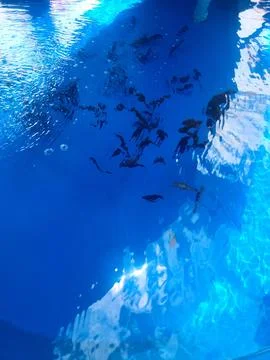 Abstract blue water surface with ripples and reflections Stock Photos