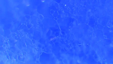 Abstract Blue Water Texture 库存影片 338233564