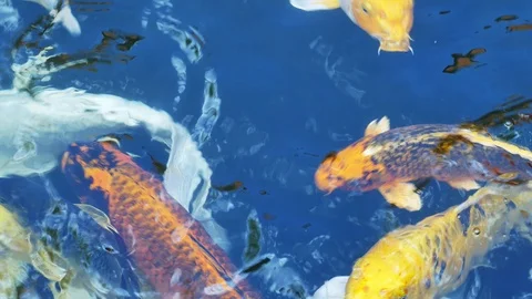 Abstract blue water2 Stock-Footage 108223157