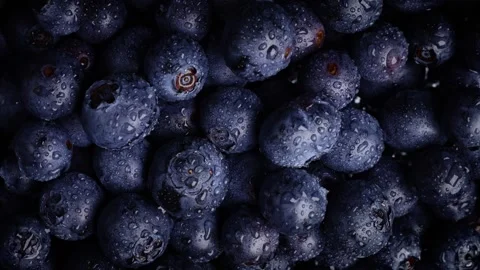 Abstract Blueberries Background: Artistic Composition of Luscious Blueberries Stock Footage 244703856