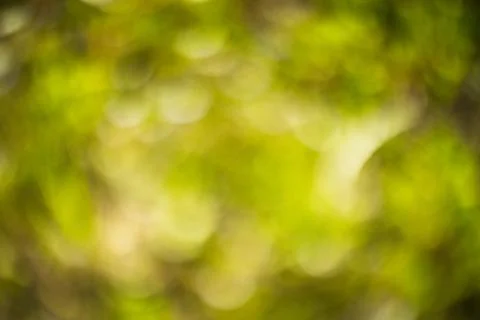 Abstract Blur Background Stock Photos