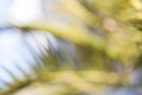 Abstract blur background Stock Photos