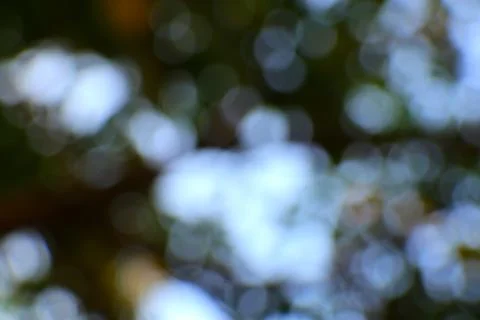 Abstract Blur Background Showing Tree Canopy or Lights in a Distant View Stock Photos