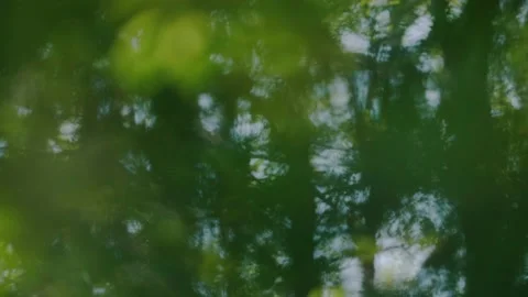 Abstract blur focus shift through green leaves like kaleidoscope Stock Footage 130522378