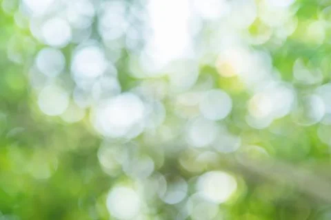 Abstract blur image of green tree with sunlight for background, add lens flar Stock Photos