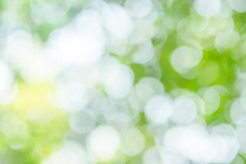 Abstract blur image of green tree with sunlight for background, add lens flar Stock Photos