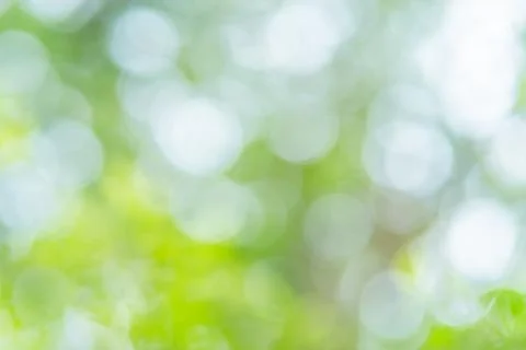 Abstract blur image of green tree with sunlight for background, add lens flar Stock Photos