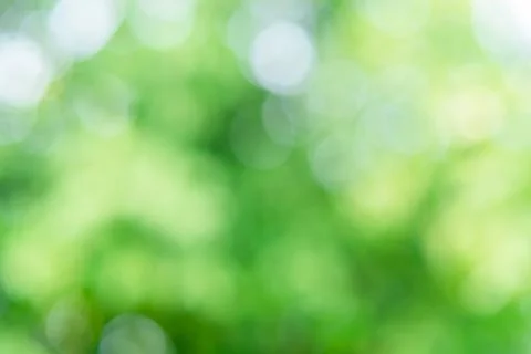 Abstract blur image of green tree with sunlight for background, add lens flar Stock Photos