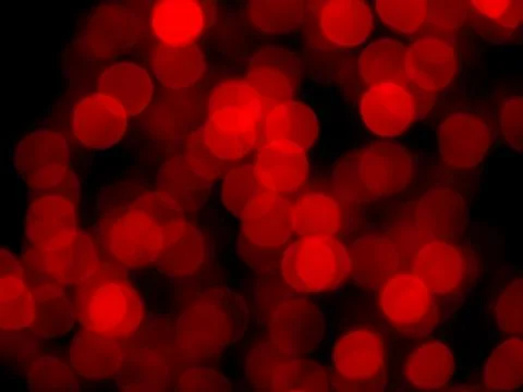 Abstract blur image of red light of night party bokeh on dark background. Blu Stock Photos