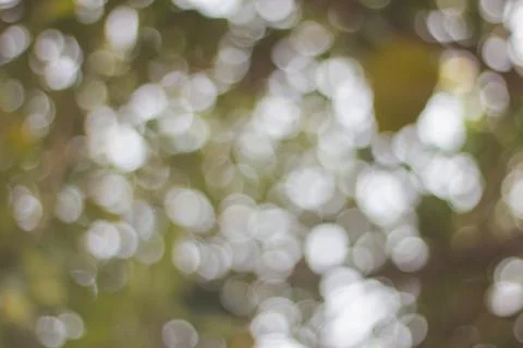 Abstract Blur of light bokeh background with full color green, yellow and gra Stock Photos