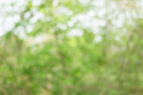 Abstract blur nature background. Stock Photos