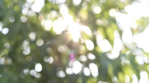 Abstract blur nature light background, bokeh light nature background Stock Footage 169081689