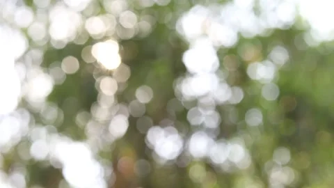 Abstract blur nature light background, bokeh light nature background Stock Footage 169081701