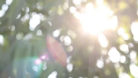 Abstract blur nature light background, bokeh light nature background Video stock 169081703