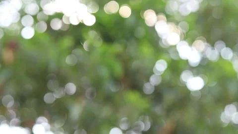 Abstract blur nature light background, bokeh light nature background Stock Footage 169081777