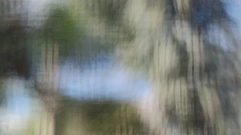 Abstract blur palm tree in the windy day background Stock Footage 160991048