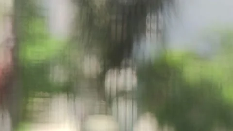 Abstract blur seaside palm tree background Stock Footage 160769747