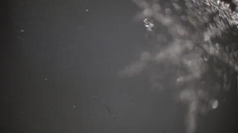 Abstract blur of snow crystals by microscope Stock-Footage 105744341