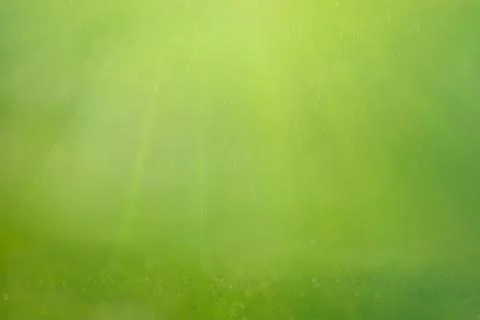 Abstract blur spring background. Green and blue bokeh Stock Photos