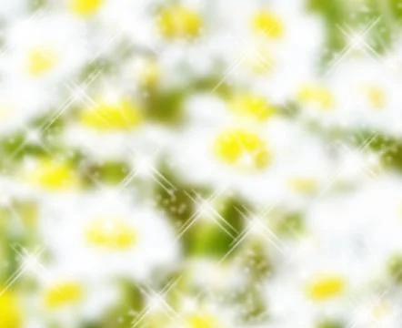 The abstract blur spring a background Stock Photos