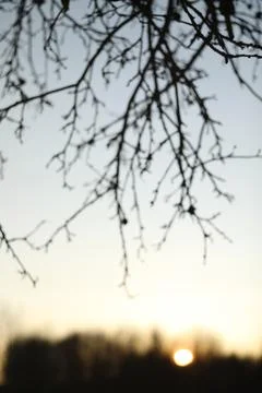 Abstract blur sunset texture background. Real amazing panoramic sunrise or Stock Photos