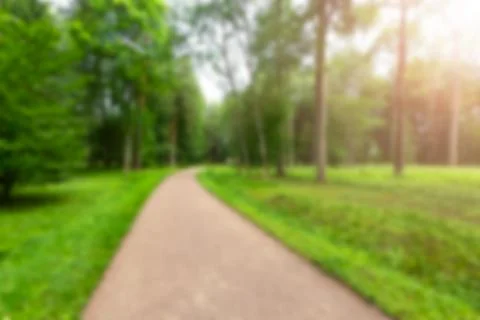 Abstract blur winding path through a tranquil verdant park with lawn and tall Stock Photos