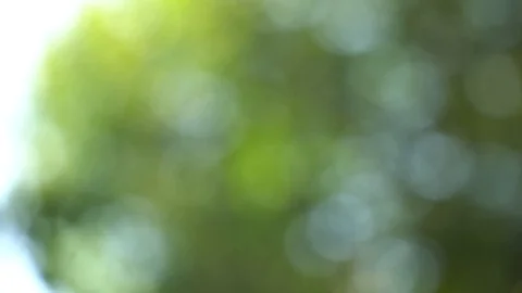 Abstract blured defocused motion background, tranquil scene for meditation Stock Footage 93649347