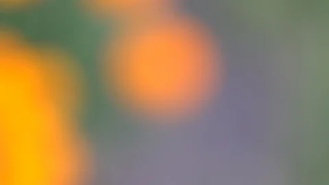 Abstract blured defocused motion orange background, tranquil scene for Stock Footage 93392433