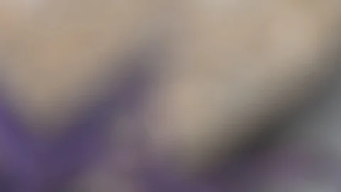 Abstract blured defocused motion purple background, tranquil scene for Video stock 93393600
