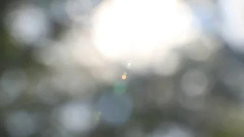 Abstract blured light background Stock Footage 84100701