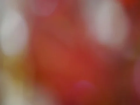 Abstract blured light bokeh lights rotation background Stock Footage 111621043