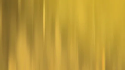 Abstract  blured light  gold sparkle . Defocused . Loop Clip Stock Footage 81675173