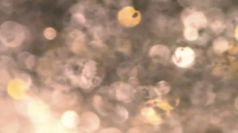Abstract  blured light  gold sparkle . Defocused . Loop Clip. Stock Footage 82500035