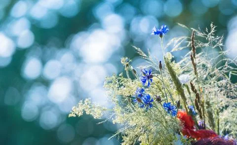 Abstract blurred background with bokeh Stock Photos