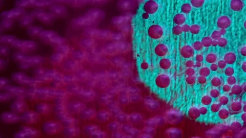 Abstract blurred background with bubbles and multi-colored flashing highlights Video stock 218317036