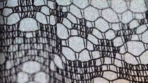 Abstract blurred background Stock Footage 142944682